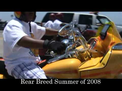 Rare Breed Picnic of 2008  Featuring Kings of Cali,Rare Breed by Digital Dreams