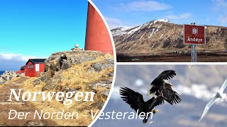 Norwegen, Norway - Der Norden - #4 - Vesterålen/Andøya, Vogelinsel Bleiksøya - kämpfende Seeadler