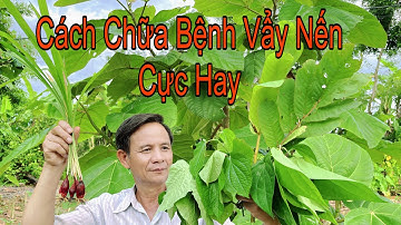 4 Bài Thuốc Chữa Bệnh Vẩy Nến Đơn Giản Mà Hiệu Quả Vô Cùng