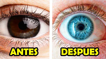 ¿Qué alimentos hacen que tus ojos cambien de color?