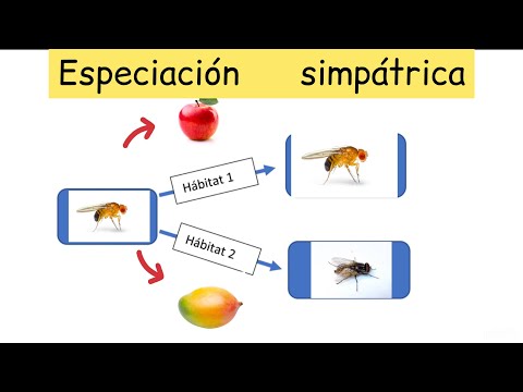 Video: ¿Qué es el ejemplo de especiación simpátrica?