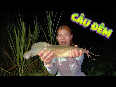 Tập 65 | Câu Cá Đêm Dưới Đám Lục Bình Dày Đặc | Cầu Cá Tự Nhiên | VY HAN FISHING
