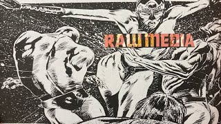 Raw Media Was The Outlaw Heavy Metal Magazine On Steroids.
