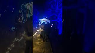 walking towards the tunnel at Leonardslee lights