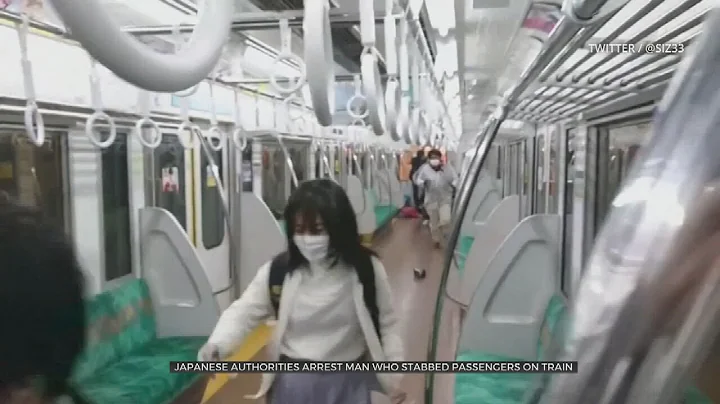 Man With Knife On Tokyo Train Stabs Several Before Starting Fire, Police Say