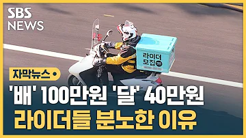배 100만원 달 40만원 라이더들 분노한 이유 자막뉴스 SBS
