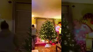 Christmas 🤶 🎅 🎄 Tree 🎄 Light 💡 Time-Lapse 2022