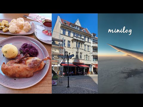 독일에서의 마지막 하루🇩🇪 | Köpenick 나들이, 카타르항공 타고 귀국하기✈