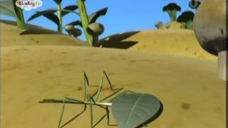 Babytv - Vegibugs - Stick Insect