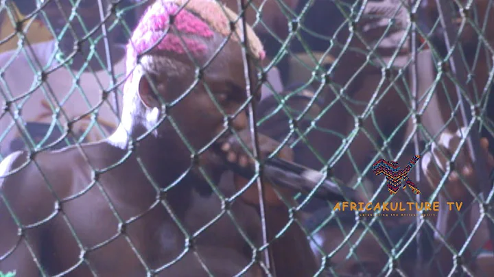 Portable Inside  Net At Felabration 2024