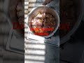 #food #viralvideo #love #foodie #youtubeshorts #ytshorts #trending #trendingshorts #love
