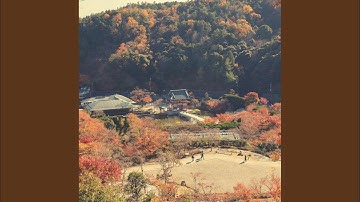 Pulsating Moods for Deep Sleep