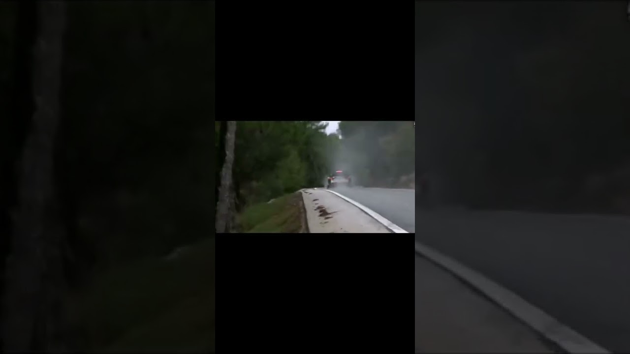 Send rally crash hd crash compilation 2022 