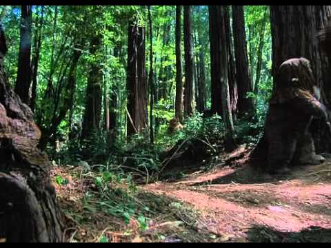 Ewoks Kampf Um Endor Stream Ewoks Kampf Um Endor Stream