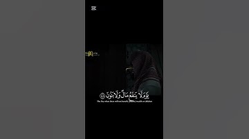 الشيخ:يوسف صقير سورة:الشعراء✨ خشوع لا يوصف🌾