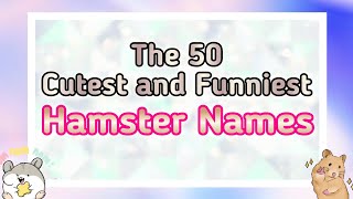 Hamster Names