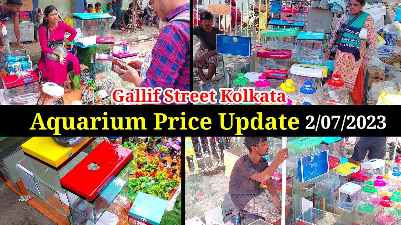 Recent Aquarium Tank Price Update Gallif Street Fish Market Kolkata