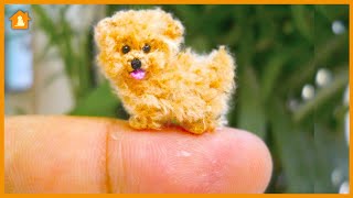 Top 10 Smallest Dog Breeds in the World - Meet These Cute and Compact Canines! | Pets Guideline by Pets Guideline 159 views 1 year ago 4 minutes, 50 seconds