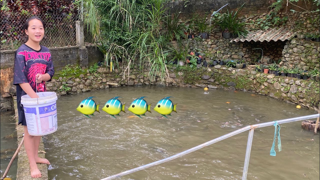 Cô gái nhà có nhiều ao nuôi cá nhất xã Bá Thước 