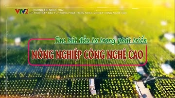 Khó khăn vay vốn trong phát triển nông nghiệp công nghệ cao