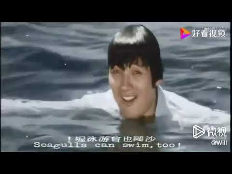 风华绝代的台湾女星林青霞在电影“长情万缕“、“一颗红豆“、“彩霞满天“、“我是一沙鸥“精彩演出，让人回味无穷！太美了！Lin Ching Hsia & her Taiwanese movies