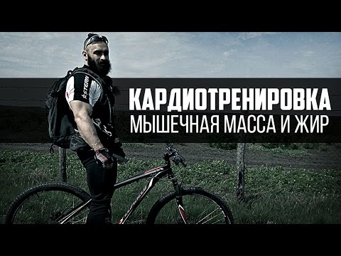 Какие мышцы качаются на велосипеде
