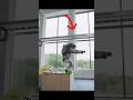 The Impact Expert 💥 #robot #fail #shorts