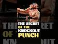 How to Land A Knockout.|The Secret of the Knockout Punch.#boxing #streetfigther #boxingtraining#fyp
