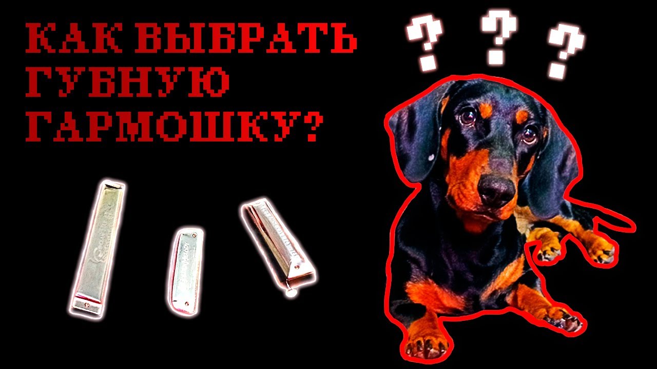 Как выбрать губную гармошку | How to choose a harmonica (ENG sub)