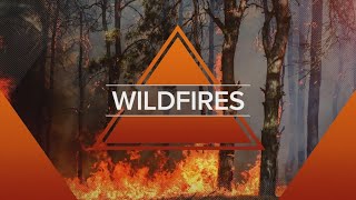 12News Wildfire Coverage
