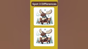 Spot 3 Differences#492
