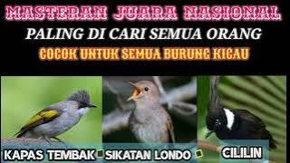 MASTERAN JUARA KAPAS TEMBAK, SIKATAN LONDO, CILILIN DI INCAR SEMUA ORANG PASTI JUARA
