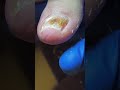 Cute nails satisfying pedicure #nails#satisfying#pedicure