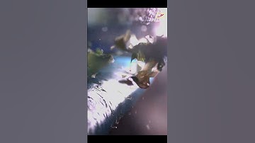 Curiosity: optical sorting machine for iceberg lettuce | RAYTEC VISION SpA