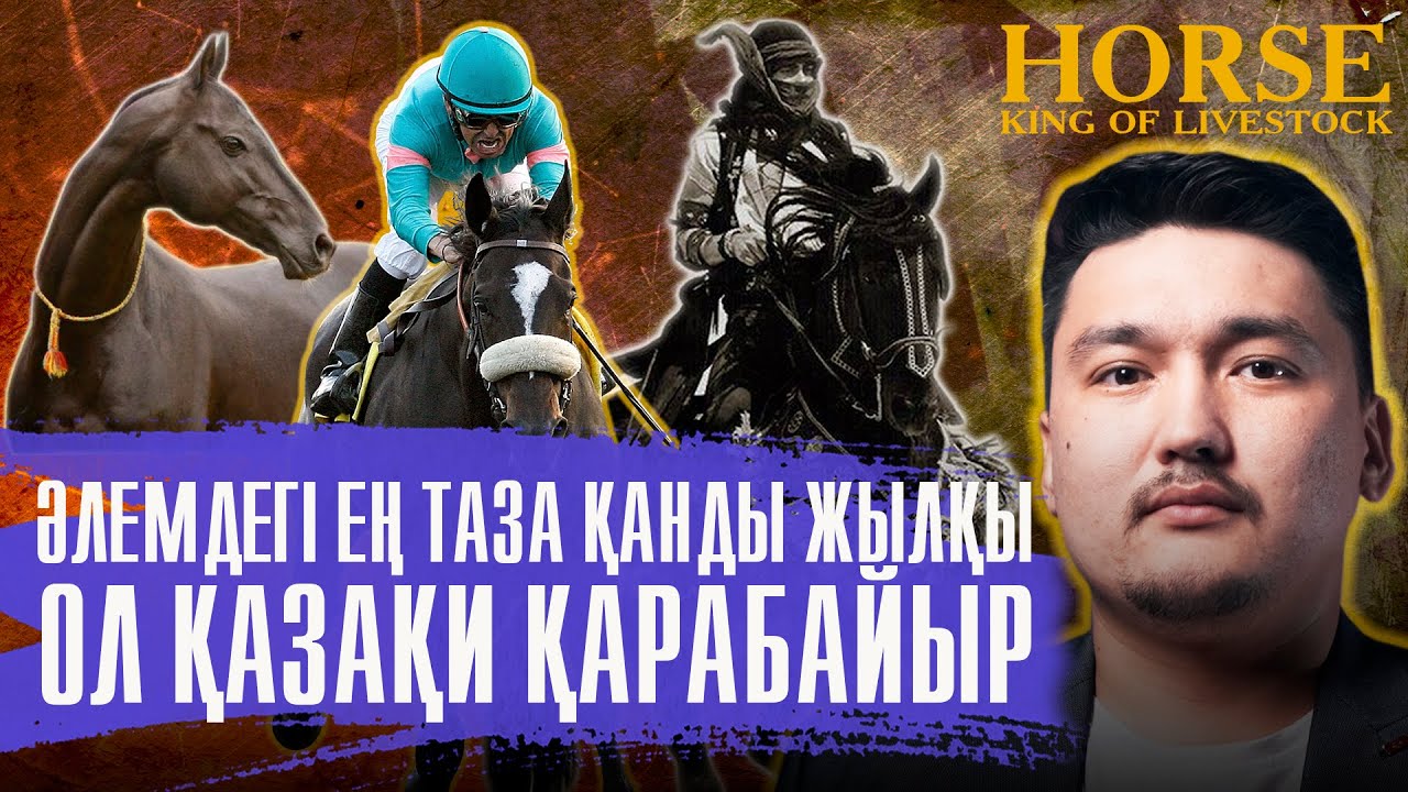 Юбкадағы фотодағы киска