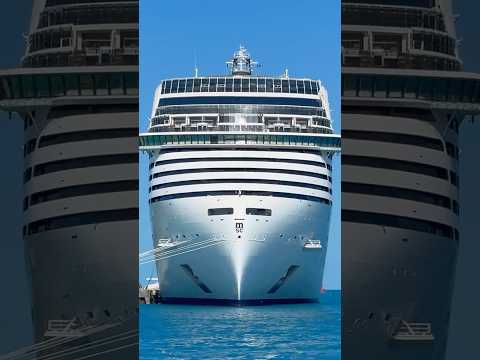 Inside the MSC World America Cruise Ship (Highlights Tour in 4K) #shorts