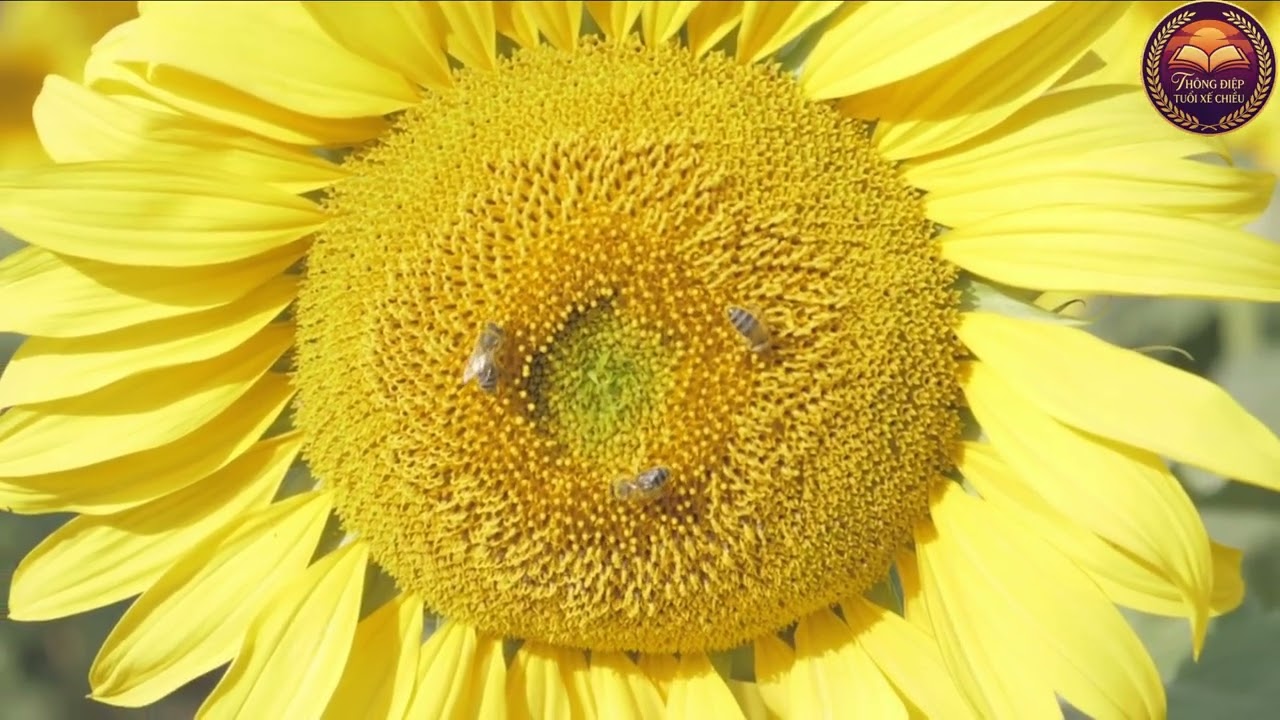 Chồng Bổ Nhiệm Nhân Tình Làm Phó Tổng, Việc Đầu Ti