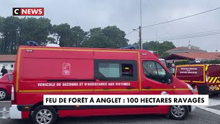 Feu de forêt à Anglet : 100 hectares ravagés