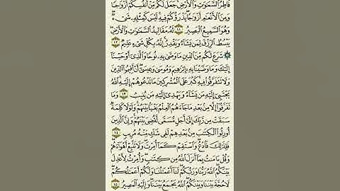 سورة الشورى من الآية ١١ إلى الآية ١٥بصوت القارئ ماهر المعيقلي