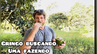 FUI no INTERIOR para BUSCAR uma FAZENDA para COMPRAR