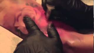 Realistic Rose Tattoo By Nick King