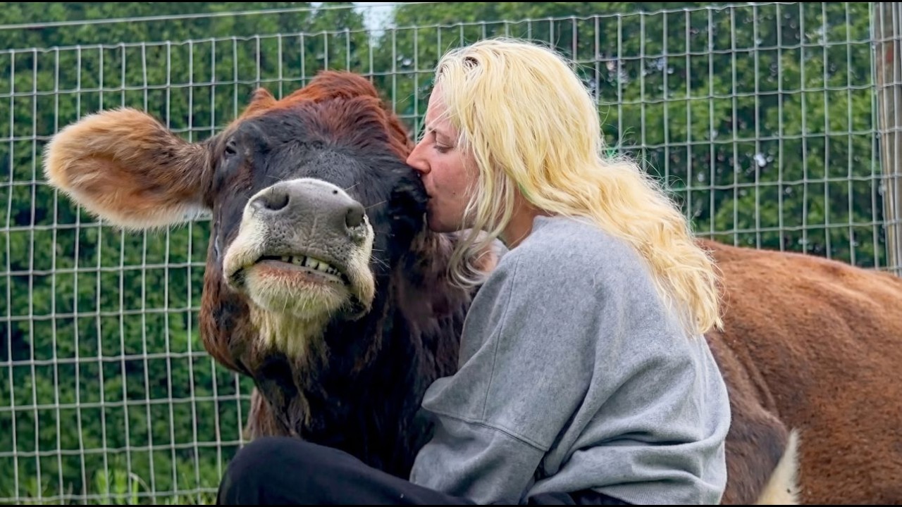 Some Believe Animals Don’t Have Souls… They Just Haven’t Seen This Yet