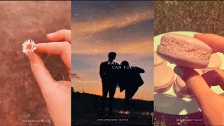 ROSÉ - Gone ( Aesthetic ) | Full Screen Whatsapp Status [ Shorts ]