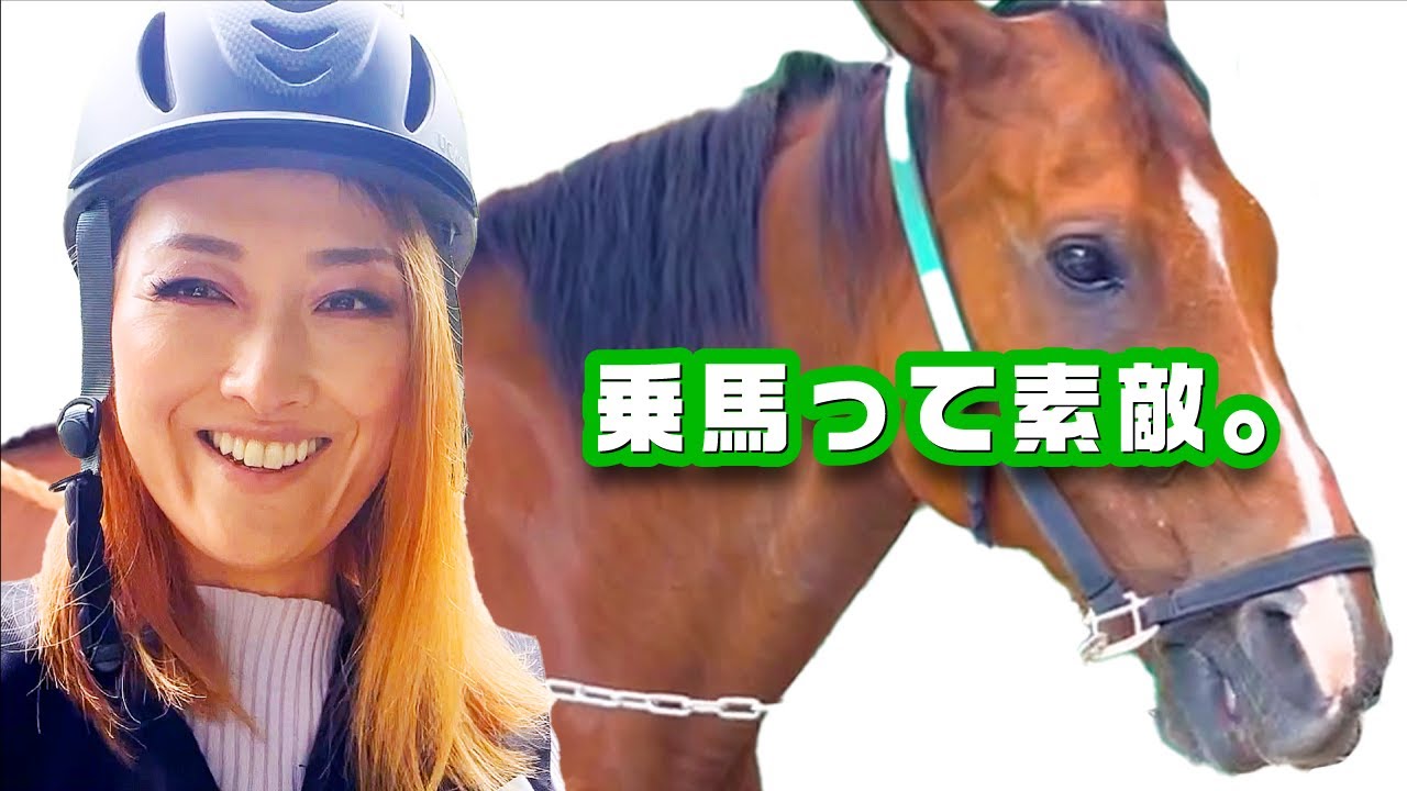 帰国してから始めた乗馬 皆さん乗馬って素敵 Youtube