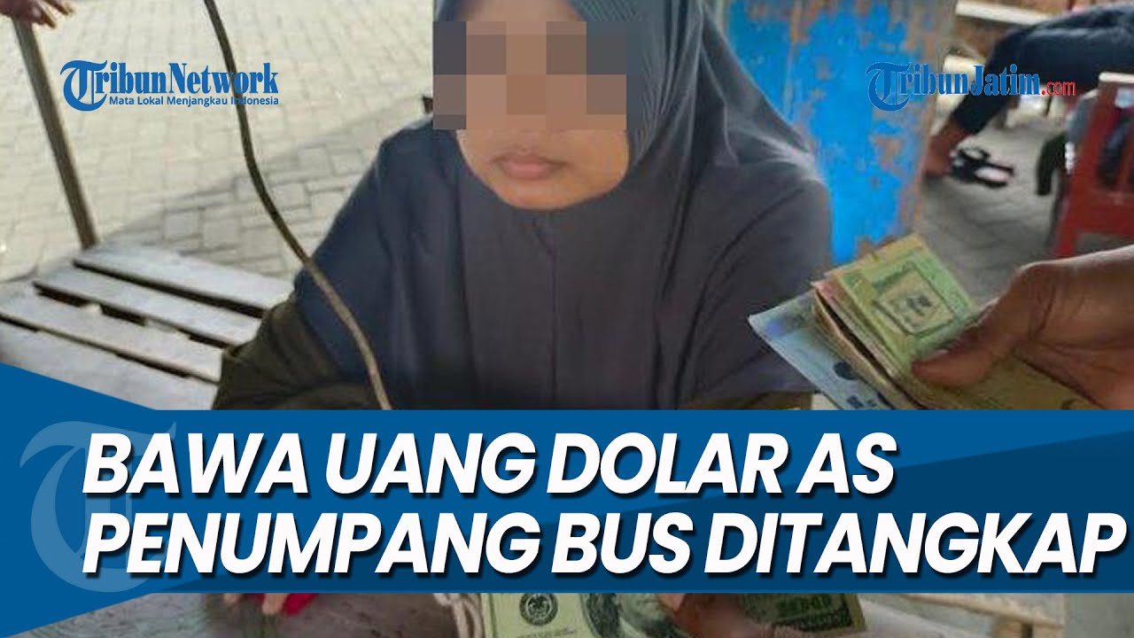 BAWA UANG DOLAR AS, Perempuan Penumpang Bus Harapan Jaya Rute Surabaya Trenggalek Ditangkap Polisi