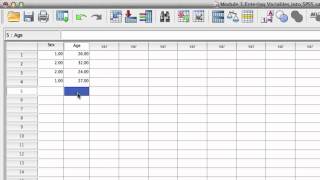 SPSS Video #1: Entering & Defining Variables In SPSS