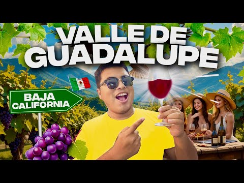 VALLE de GUADALUPE 🇲🇽 La CAPITAL del VINO en MÉXICO 🍷 GUIA COMPLETA ✅ Qué hacer? Hospedaje & tours