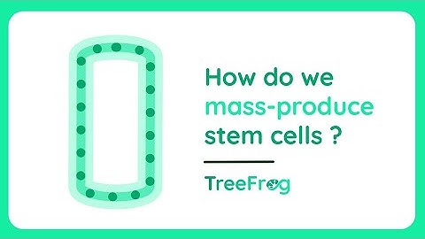 C-Stem™: How do we mass-produce stem cells ? I TreeFrog Therapeutics