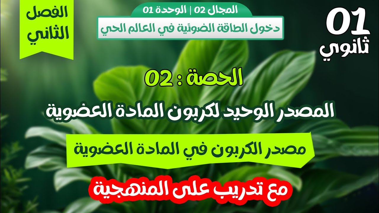 اولى ثانوي🏅الحصة 2: مصدر كربون المادة العضوية🔥شرح مفصل مع تدريب على المنهجية|الفصل الثاني