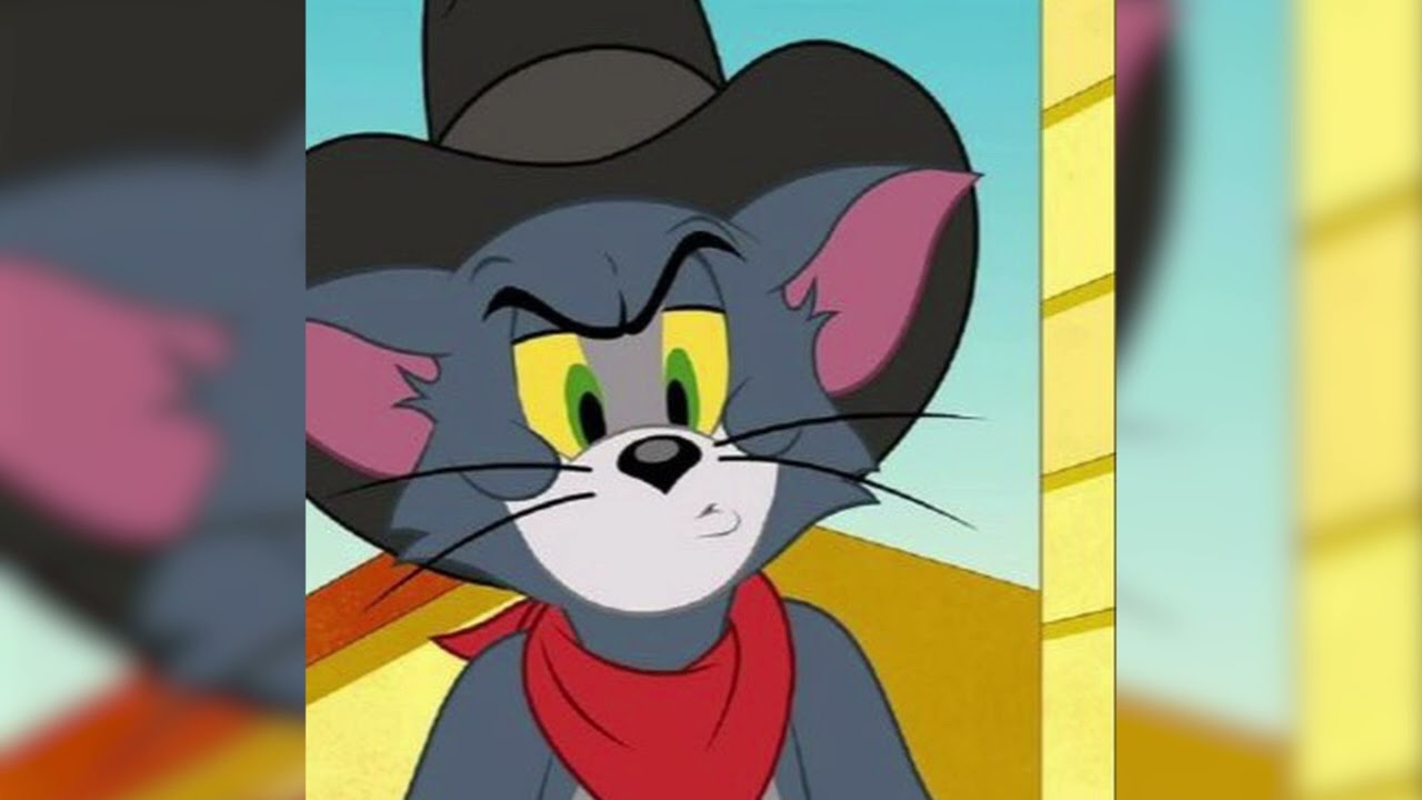 Sqwore — DOM / archive2023lifeofapopstar DOM prod kayyoemi4ka